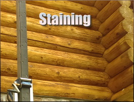  Shorter, Alabama Log Home Staining